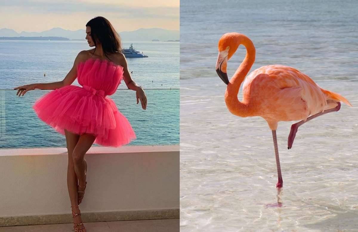 flamingo pose