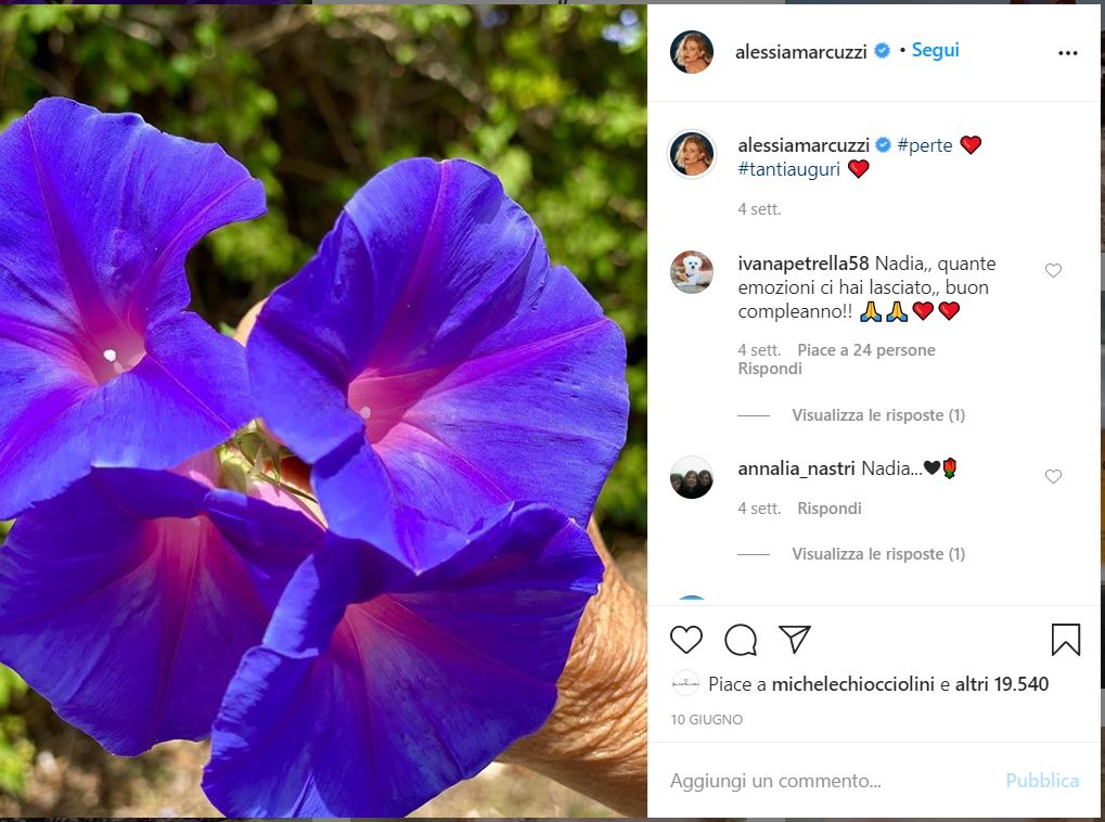 Il fiore di Alessia Marcuzzi su Instagram