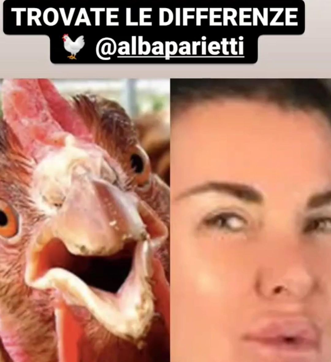 Alba Parietti insultata da alcune pagine fan di Antonella Elia