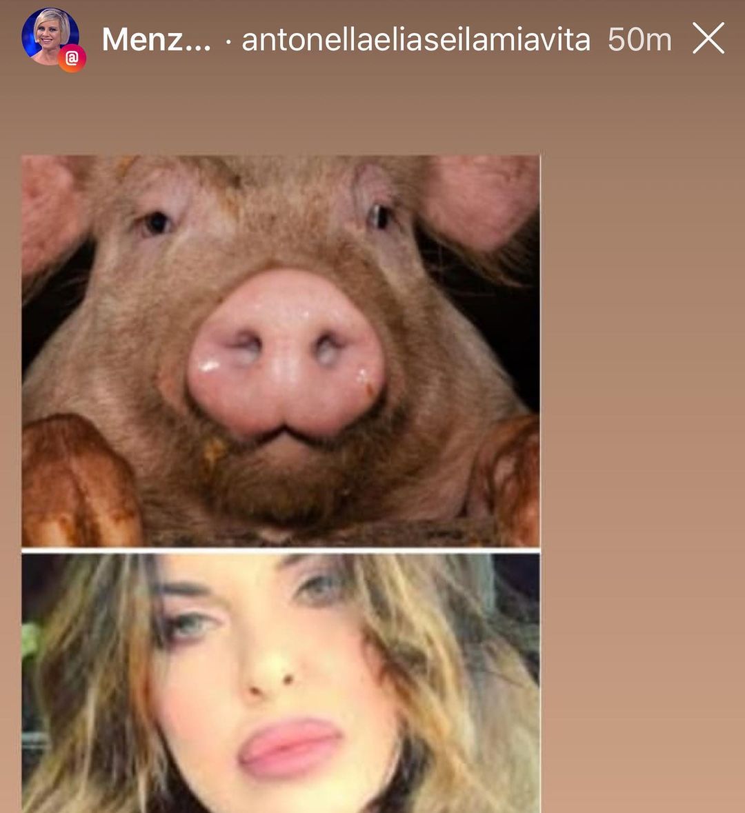 Alba Parietti insultata da alcune pagine fan di Antonella Elia