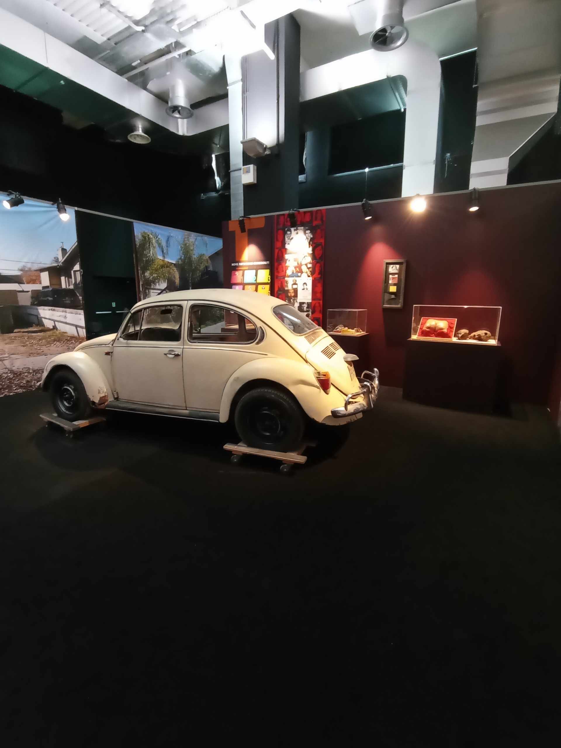 Maggiolino Beetle